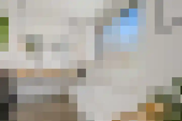 Ham 2 Poeldijk thumbnail 27