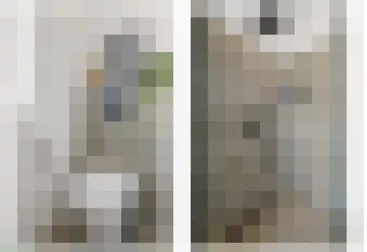 Ham 2 Poeldijk thumbnail 28