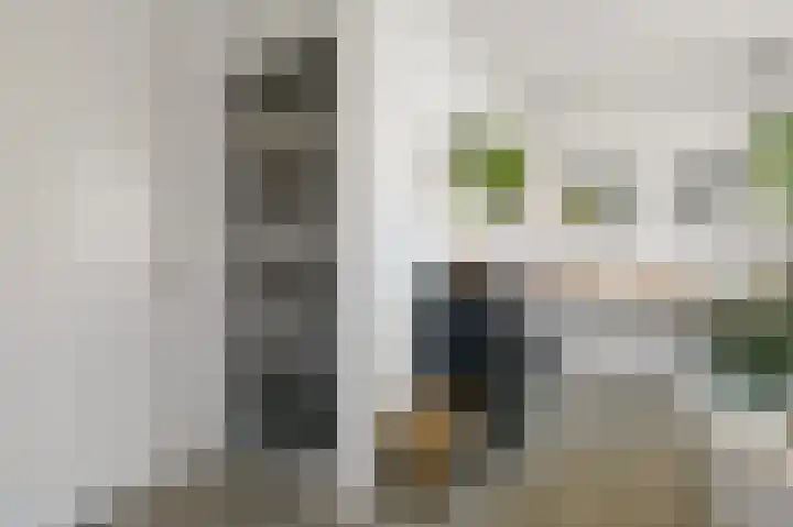 Ham 2 Poeldijk thumbnail 29
