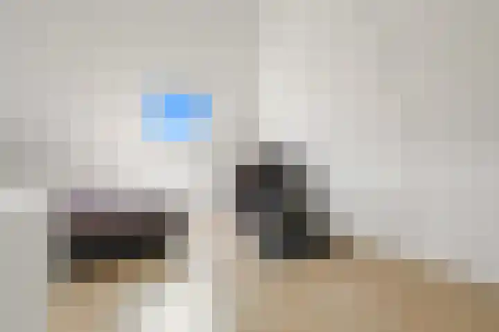 Ham 2 Poeldijk thumbnail 32