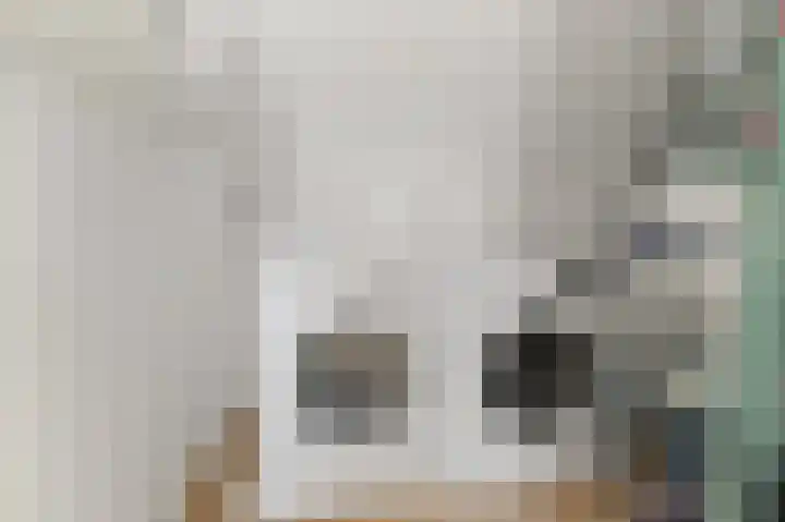 Ham 2 Poeldijk thumbnail 33
