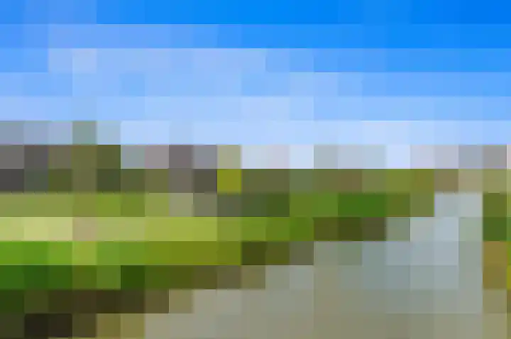 Ham 2 Poeldijk thumbnail 39