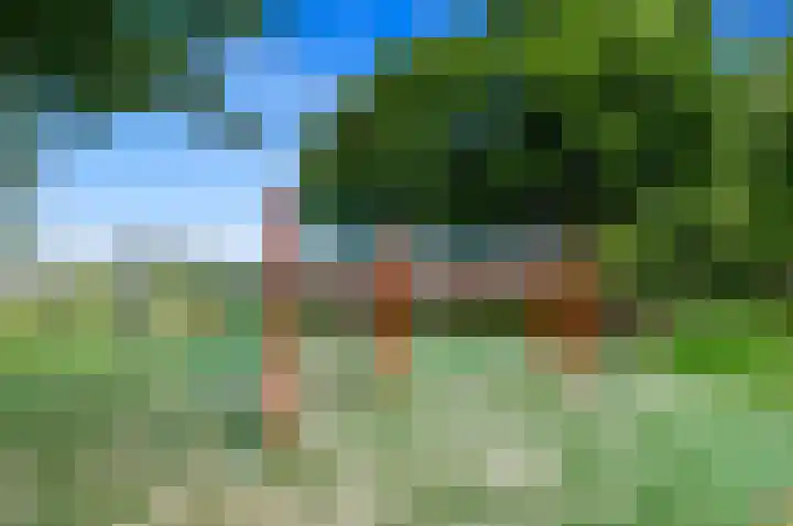 Ham 2 Poeldijk thumbnail 40