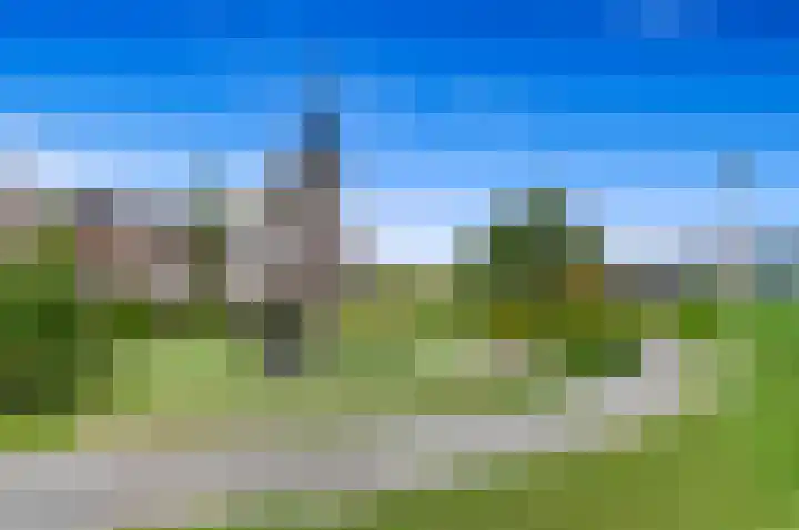 Ham 2 Poeldijk thumbnail 41