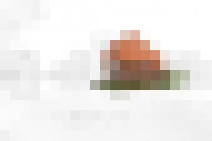 Ham 2 Poeldijk thumbnail 5