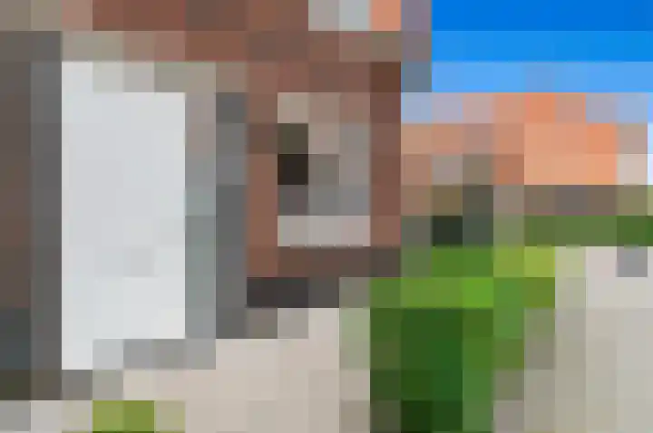 Ham 2 Poeldijk thumbnail 6