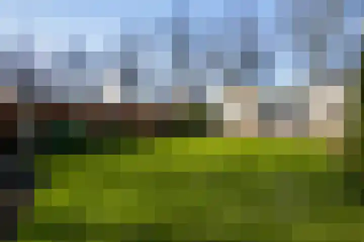 Hambeek 13 Roermond thumbnail 29