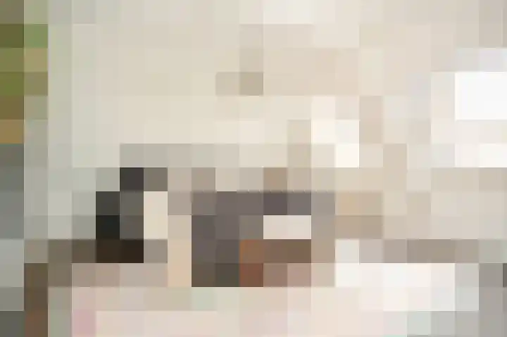 Hambloksehof 1 Aalst thumbnail 14