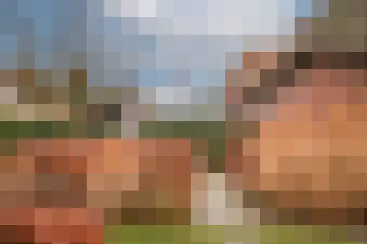 Hambloksehof 1 Aalst thumbnail 23