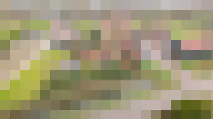 Hambloksehof 1 Aalst thumbnail 30