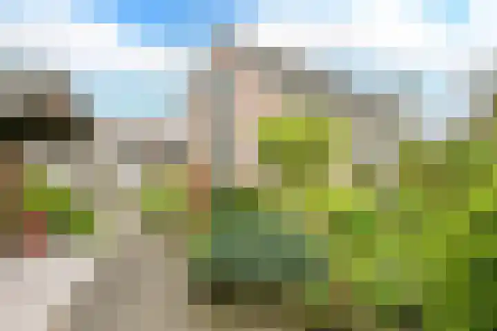 Hamburgerweg 174 Ermelo thumbnail 44