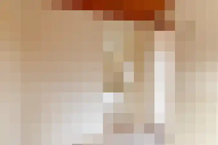 Hamburgerweg 8 Ermelo thumbnail 30