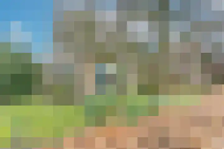 Hamburgerweg 8 Ermelo thumbnail 4