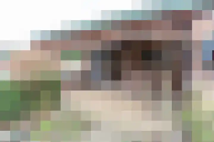 Hamburgerweg 8 Ermelo thumbnail 40