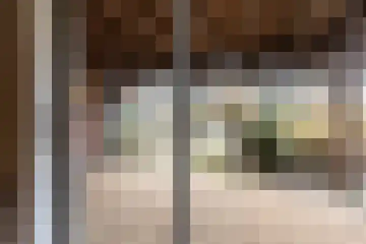 Hamburgerweg 8 Ermelo thumbnail 42