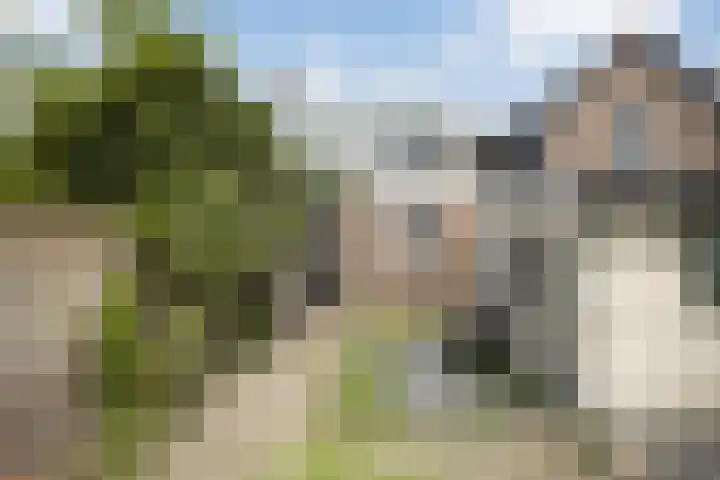 Logo Hameeteman Makelaardij