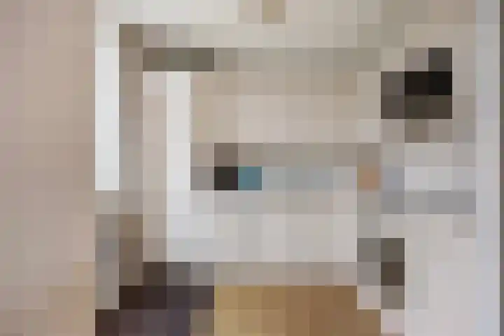 Hammepad 19 Oud-Beijerland thumbnail 16