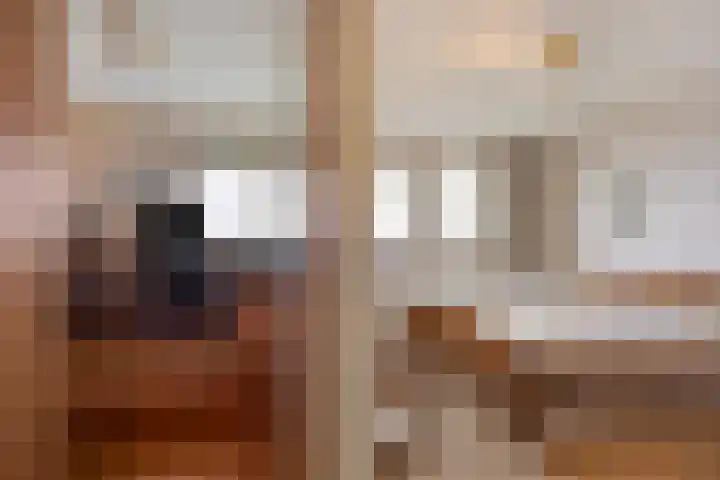 Hammepad 19 Oud-Beijerland thumbnail 32