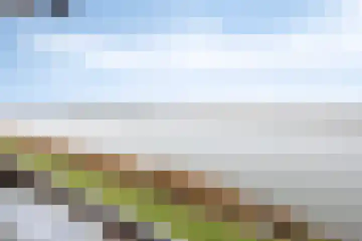 Hammepad 19 Oud-Beijerland thumbnail 40
