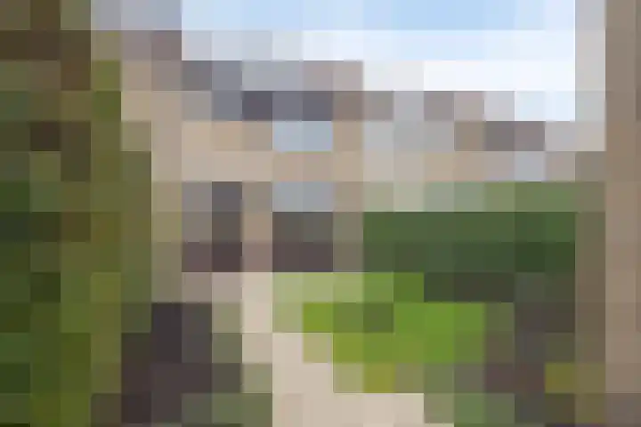 Hammepad 19 Oud-Beijerland thumbnail 43