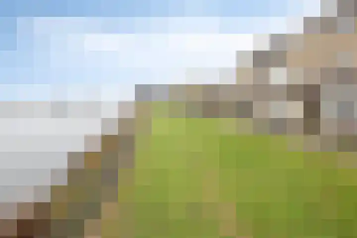 Hammepad 19 Oud-Beijerland thumbnail 49