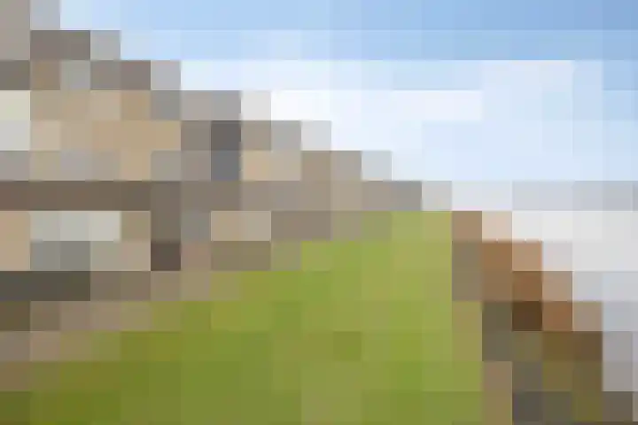 Hammepad 19 Oud-Beijerland thumbnail 5