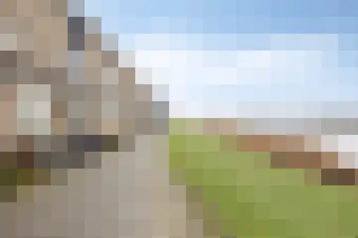 Hammepad 19 Oud-Beijerland thumbnail 6