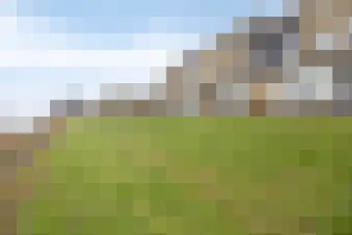 Hammepad 19 Oud-Beijerland thumbnail 7