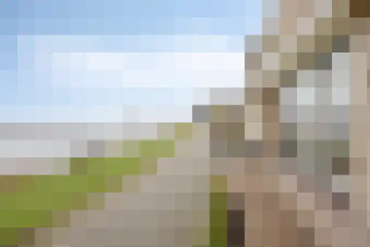 Hammepad 19 Oud-Beijerland thumbnail 8