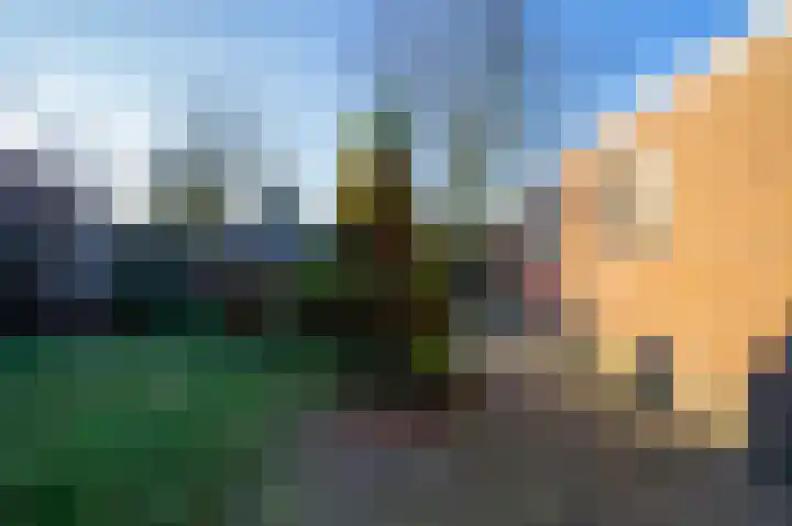 Hammerbeek 18 Tilburg thumbnail 19