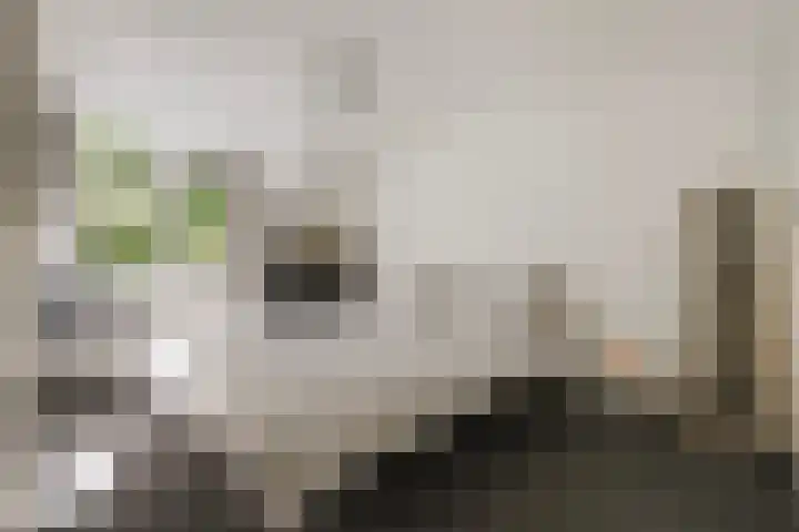 Hammerbeek 18 Tilburg thumbnail 19