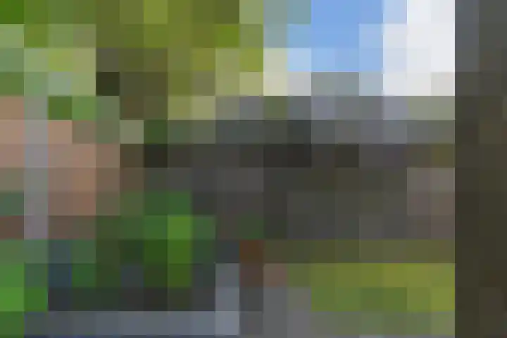 Hammerbeek 18 Tilburg thumbnail 30