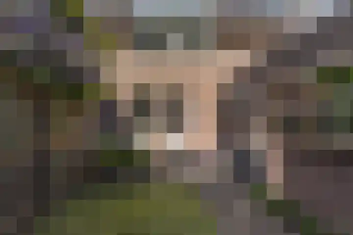 Hammerbeek 18 Tilburg thumbnail 31