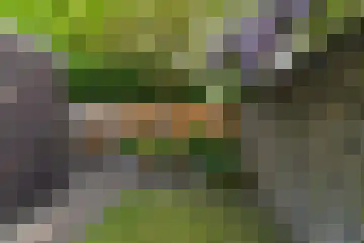 Hammerbeek 18 Tilburg thumbnail 32