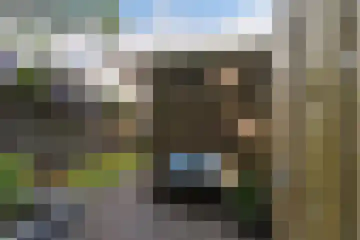 Hammerbeek 18 Tilburg thumbnail 33