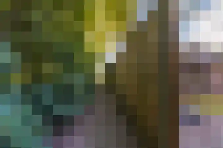Hammerbeek 18 Tilburg thumbnail 34