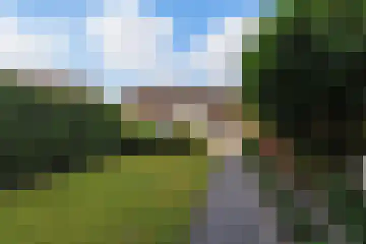 Hammerbeek 18 Tilburg thumbnail 35