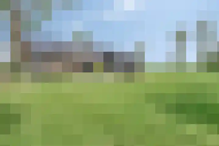Hammerdijk 30 Blankenham thumbnail 42