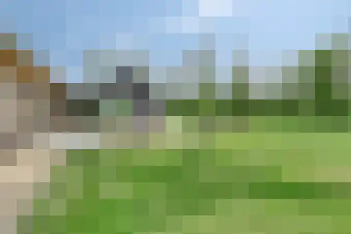 Hammerdijk 30 Blankenham thumbnail 43