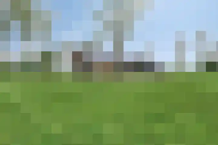Hammerdijk 30 Blankenham thumbnail 46
