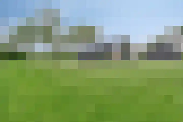 Hammerdijk 30 Blankenham thumbnail 47