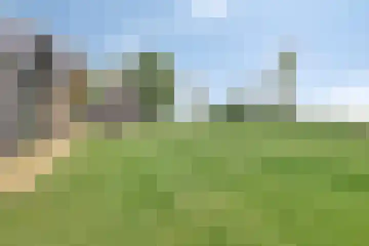 Hammerdijk 30 Blankenham thumbnail 48