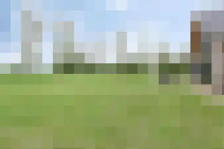 Hammerdijk 30 Blankenham thumbnail 51