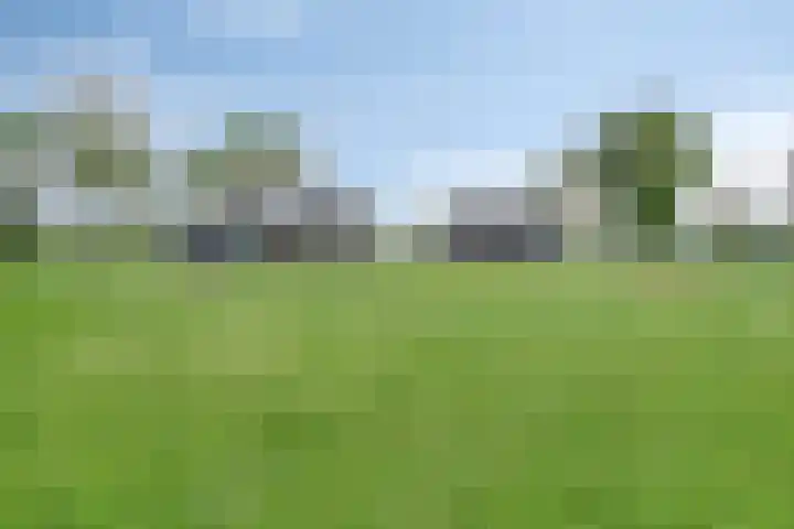 Hammerdijk 30 Blankenham thumbnail 53