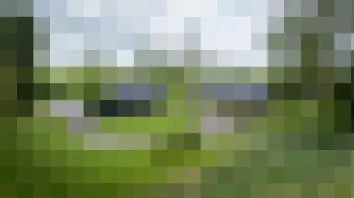 Hammerdijk 30 Blankenham thumbnail 55