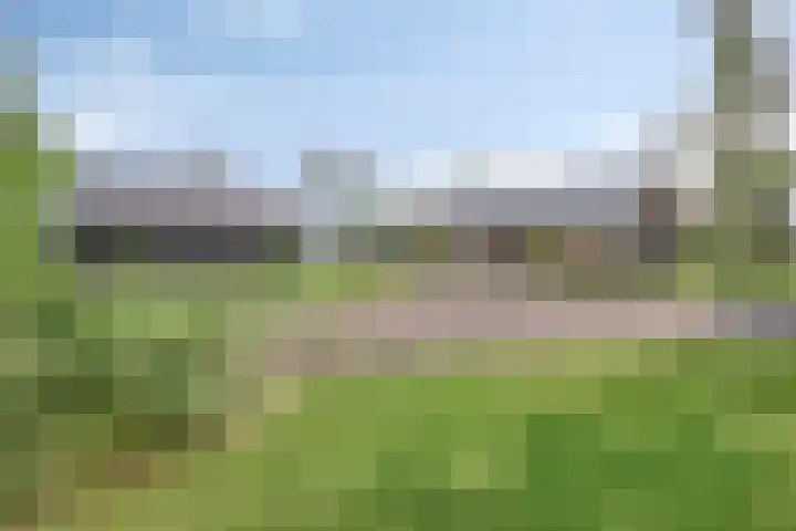 Hammerdijk 30 Blankenham thumbnail 59
