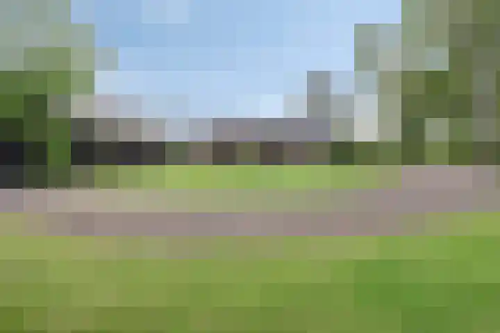 Hammerdijk 30 Blankenham thumbnail 60