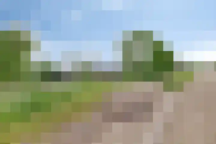 Hammerdijk 30 Blankenham thumbnail 61