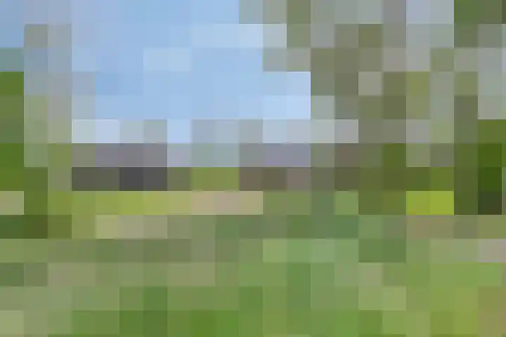 Hammerdijk 30 Blankenham thumbnail 62