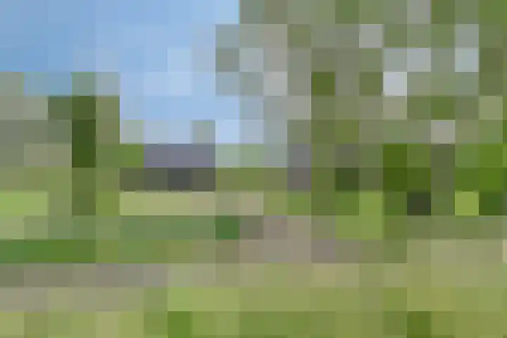 Hammerdijk 30 Blankenham thumbnail 63